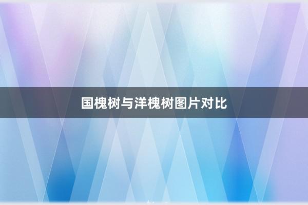 国槐树与洋槐树图片对比
